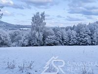 STAVEBNÍ POZEMEK S VÝHLEDEM NA ŠUMAVU O VÝMĚŘE 2272 m2, ZALUŽÍ U SUŠICE - IA 2.jpg