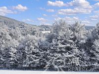 STAVEBNÍ POZEMEK S VÝHLEDEM NA ŠUMAVU O VÝMĚŘE 2272 m2, ZALUŽÍ U SUŠICE