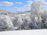 MÍSTO PRO VÁŠ VYSNĚNÝ DOMOV- STAVEBNÍ POZEMEK S VÝHLEDEM NA ŠUMAVU O VÝMĚŘE 3500 m2, 3 KM OD SUŠICE
