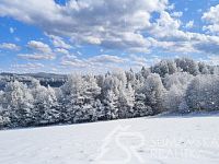 MÍSTO PRO VÁŠ VYSNĚNÝ DOMOV- STAVEBNÍ POZEMEK S VÝHLEDEM NA ŠUMAVU O VÝMĚŘE 3500 m2, 3 KM OD SUŠICE - AI 2.jpg
