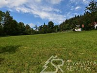 MÍSTO PRO VÁŠ VYSNĚNÝ DOMOV- STAVEBNÍ POZEMEK S VÝHLEDEM NA ŠUMAVU O VÝMĚŘE 3500 m2, 3 KM OD SUŠICE - DSC_2771 1.jpg