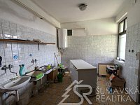 ZAVEDENÝ OBCHOD A FUNGUJÍCÍ RESTAURACE V CENTRU OBCE PŘEDSLAV - PXL_20260220_080958527.MP.jpg