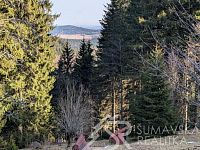 ŠUMAVSKÁ SAMOTA SNŮ – DŮM S POZEMKY – KOCHÁNOV - KEPLY - PXL_20260227_084128889.jpg