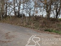 POZEMEK NA KRÁSNÉM MÍSTĚ S PANORAMATICKÝM VÝHLEDEM  POD HRADEM KAŠPERK, BOHDAŠICE - PXL_20260413_133803592.MP.jpg