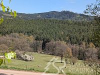 POZEMEK NA KRÁSNÉM MÍSTĚ S PANORAMATICKÝM VÝHLEDEM  POD HRADEM KAŠPERK, BOHDAŠICE - PXL_20260428_131911057.jpg