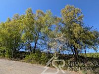 POZEMEK NA KRÁSNÉM MÍSTĚ S PANORAMATICKÝM VÝHLEDEM  POD HRADEM KAŠPERK, BOHDAŠICE - PXL_20260428_131958850.jpg