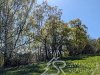 POZEMEK NA KRÁSNÉM MÍSTĚ S PANORAMATICKÝM VÝHLEDEM  POD HRADEM KAŠPERK, BOHDAŠICE - PXL_20260428_132137187.jpg