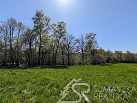 POZEMEK NA KLIDNÉM MÍSTĚ U HRADU KAŠPERK, HUMPOLEC NA ŠUMAVĚ - PXL_20260428_133356567.jpg