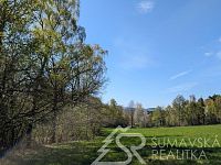 POZEMEK NA KLIDNÉM MÍSTĚ U HRADU KAŠPERK, HUMPOLEC NA ŠUMAVĚ - PXL_20260428_133421235.jpg