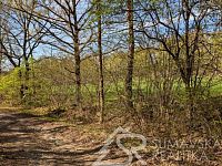 POZEMEK NA KLIDNÉM MÍSTĚ U HRADU KAŠPERK, HUMPOLEC NA ŠUMAVĚ - PXL_20260428_133447537.jpg