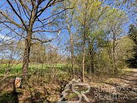 POZEMEK NA KLIDNÉM MÍSTĚ U HRADU KAŠPERK, HUMPOLEC NA ŠUMAVĚ - PXL_20260428_133515191.jpg