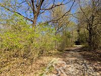 POZEMEK NA KLIDNÉM MÍSTĚ U HRADU KAŠPERK, HUMPOLEC NA ŠUMAVĚ - PXL_20260428_133539630.jpg