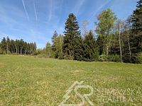 KOUZELNÝ STAVEBNÍ POZEMEK NA ŠUMAVĚ V KLIDU PŘÍRODY - PXL_20260505_083443963.jpg