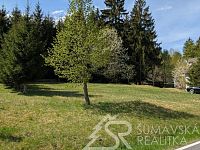 STAVEBNÍ POZEMEK NA ŠUMAVĚ, KDE I LES PATŘÍ VÁM - PXL_20260505_092035969.jpg