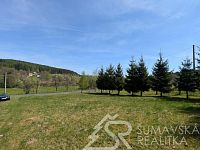 STAVEBNÍ POZEMEK NA ŠUMAVĚ, KDE I LES PATŘÍ VÁM - PXL_20260505_092204382.jpg