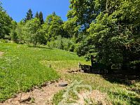 STAVEBNÍ POZEMEK NA KRÁSNÉM A KLIDNÉM MÍSTĚ V BLÍZKOSTI ŘEKY OTAVY NA HRANICI NÁRODNÍHO PARKU ŠUMAVA-REJŠTEJN SLEVA - PXL_20260526_103118768.MP.jpg