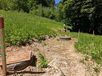 STAVEBNÍ POZEMEK NA KRÁSNÉM A KLIDNÉM MÍSTĚ V BLÍZKOSTI ŘEKY OTAVY NA HRANICI NÁRODNÍHO PARKU ŠUMAVA-REJŠTEJN SLEVA - PXL_20260526_103131625.MP.jpg