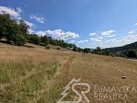 STAVEBNÍ POZEMEK NA ŠUMAVĚ PAŘEZÍ - PETROVIC U SUŠICE - O VÝMĚŘE 4.773 m2
