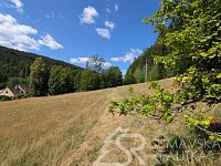 STAVEBNÍ POZEMEK NA ŠUMAVĚ PAŘEZÍ - PETROVICE U SUŠICE - O VÝMĚŘE 4.773 m2 - PXL_20260728_082735857.jpg