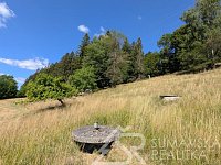 STAVEBNÍ POZEMEK NA ŠUMAVĚ PAŘEZÍ - PETROVICE U SUŠICE - O VÝMĚŘE 4.773 m2 - PXL_20260728_082808368.jpg