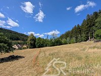 STAVEBNÍ POZEMEK NA ŠUMAVĚ PAŘEZÍ - PETROVICE U SUŠICE - O VÝMĚŘE 4.773 m2 - PXL_20260728_082851461.jpg