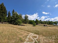 STAVEBNÍ POZEMEK NA ŠUMAVĚ PAŘEZÍ - PETROVICE U SUŠICE - O VÝMĚŘE 4.773 m2 - PXL_20260728_082945030.jpg