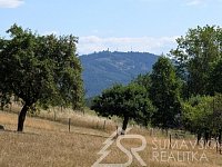 STAVEBNÍ POZEMEK NA ŠUMAVĚ PAŘEZÍ - PETROVICE U SUŠICE - O VÝMĚŘE 4.773 m2 - PXL_20260728_083034289.jpg