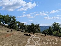 STAVEBNÍ POZEMEK NA ŠUMAVĚ PAŘEZÍ - PETROVICE U SUŠICE - O VÝMĚŘE 4.773 m2 - PXL_20260728_083043069.jpg