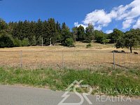 STAVEBNÍ POZEMEK NA ŠUMAVĚ PAŘEZÍ - PETROVICE U SUŠICE - O VÝMĚŘE 4.773 m2 - PXL_20260728_083200559.jpg