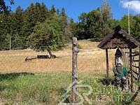 STAVEBNÍ POZEMEK NA ŠUMAVĚ PAŘEZÍ - PETROVICE U SUŠICE - O VÝMĚŘE 4.773 m2 - PXL_20260728_083239500.jpg