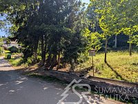 STAVEBNÍ POZEMEK NADOSAH OD HRADU KAŠPERK, V OSADĚ ŽLÍBEK – KAŠPERSKÉ HORY - PXL_20260728_131926742.jpg