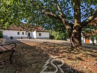 DOMEK VE SKANDINÁVSKÉM STYLU, ŽIHOBCE U SUŠICE - PXL_20260811_074723935.MP.jpg