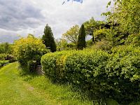 Prodej, chata 14m2, zahrada 588m2, Děčín - VI Letná - IMG_9182.jpg