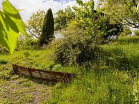 Prodej, chata 14m2, zahrada 588m2, Děčín - VI Letná - IMG_9184.jpg