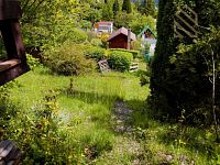 Prodej, chata 14m2, zahrada 588m2, Děčín - VI Letná - IMG_9192.jpg
