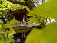 Prodej, chata 14m2, zahrada 588m2, Děčín - VI Letná - IMG_9194.jpg