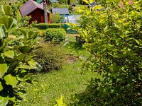 Prodej, chata 14m2, zahrada 588m2, Děčín - VI Letná - IMG_9203.jpg