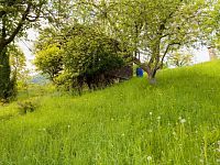 Prodej, chata 14m2, zahrada 588m2, Děčín - VI Letná - IMG_9216.jpg