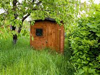 Prodej, chata 14m2, zahrada 588m2, Děčín - VI Letná - IMG_9219.jpg