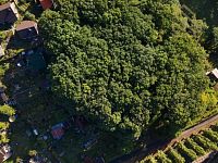 Prodej lesního pozemku -3946m/2, zahrada 866m2 Vysoká Pec-Drmaly u Chomutova - DJI_0924_hdr.jpg