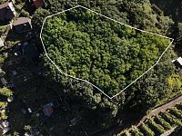 Prodej lesního pozemku -3946m/2, zahrada 866m2 Vysoká Pec-Drmaly u Chomutova - DJI_0924__hdr.jpg