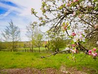 Prodej pozemku 2370 m², Smolnice u Loun - 1752570841-9244.jpg