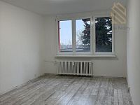 Prodej, byt, 2kk, 43m2, Litvínov-Janov