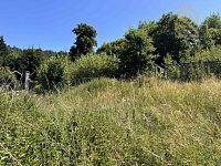 Prodej, domu, 778m2, Velichov - o_1756804206-795.jpg