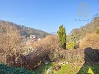 Prodej, Byt 3kk,49 m2, s terasou 43m2,sklepem, a podílem na zahradě -Opárno - IMG_5983.jpg