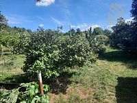 Prodej rodinného domu 235 m², pozemek 4761 m², Velké Žernoseky - WhatsApp Image 2026-03-02 at 19.19.08 (1).jpeg