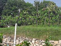 Prodej rodinného domu 235 m², pozemek 4761 m², Velké Žernoseky - WhatsApp Image 2026-03-02 at 19.19.18 (1).jpeg