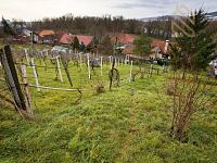 Prodej rodinného domu 235 m², pozemek 5026 m², Velké Žernoseky - o_1743788236-8263.jpg