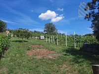 Prodej, pozemek 4490 m2,  Velké Žernoseky - WhatsApp Image 2026-03-25 at 11.55.47 (1).jpeg