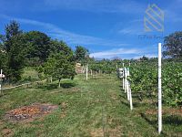 Prodej, pozemek 4490 m2,  Velké Žernoseky - WhatsApp Image 2026-03-25 at 11.55.49 (1).jpeg